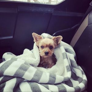 Meet your Posher, Colleen